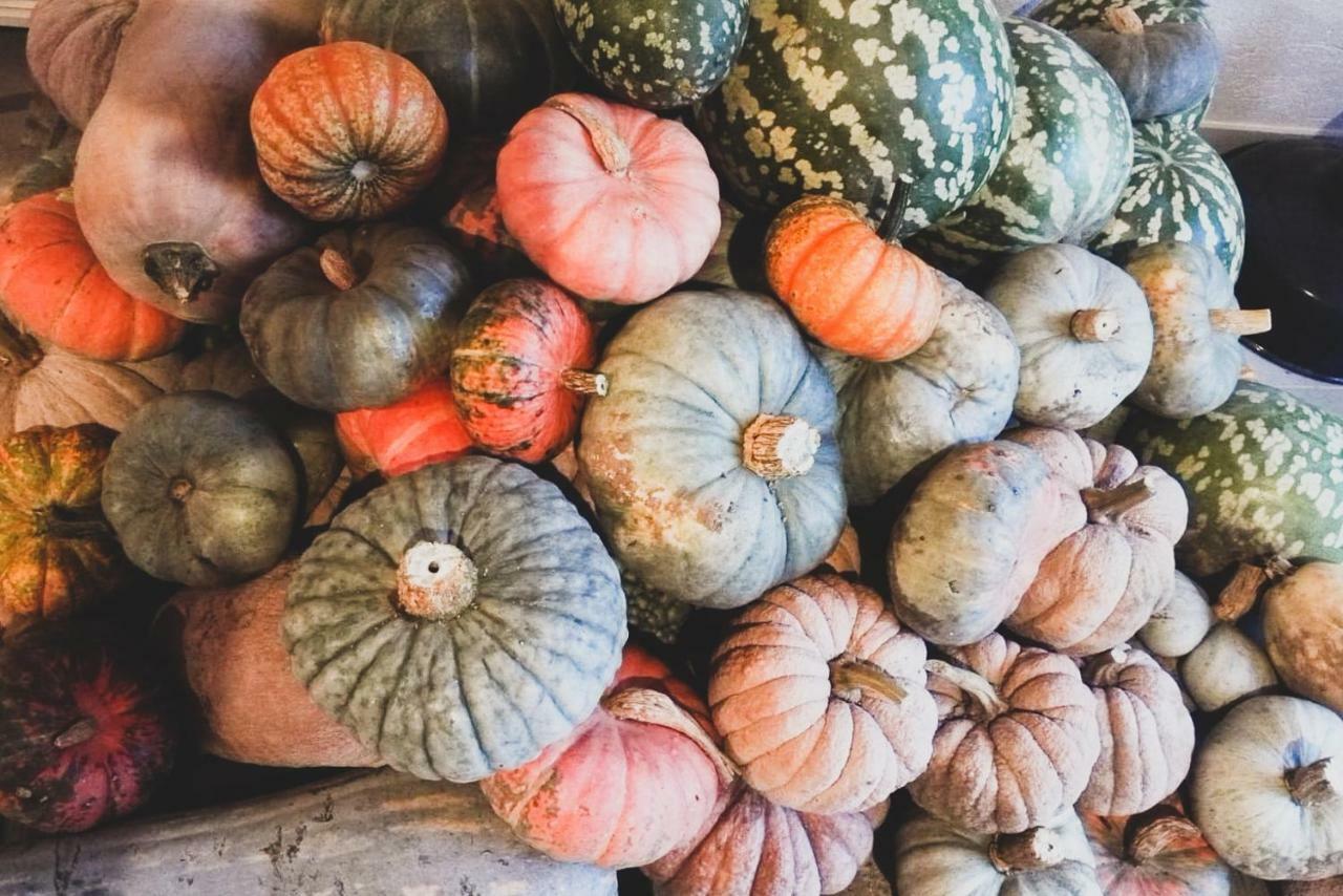 Agriturismo Fiori Di Zucca Fossano Luaran gambar