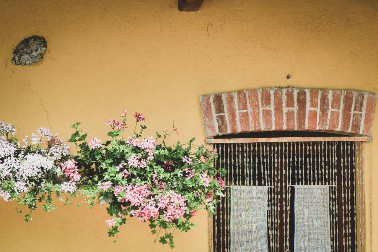 Agriturismo Fiori Di Zucca Fossano Luaran gambar